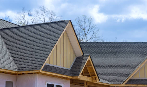 Best Asphalt Shingle Roofing  in Logan, WV